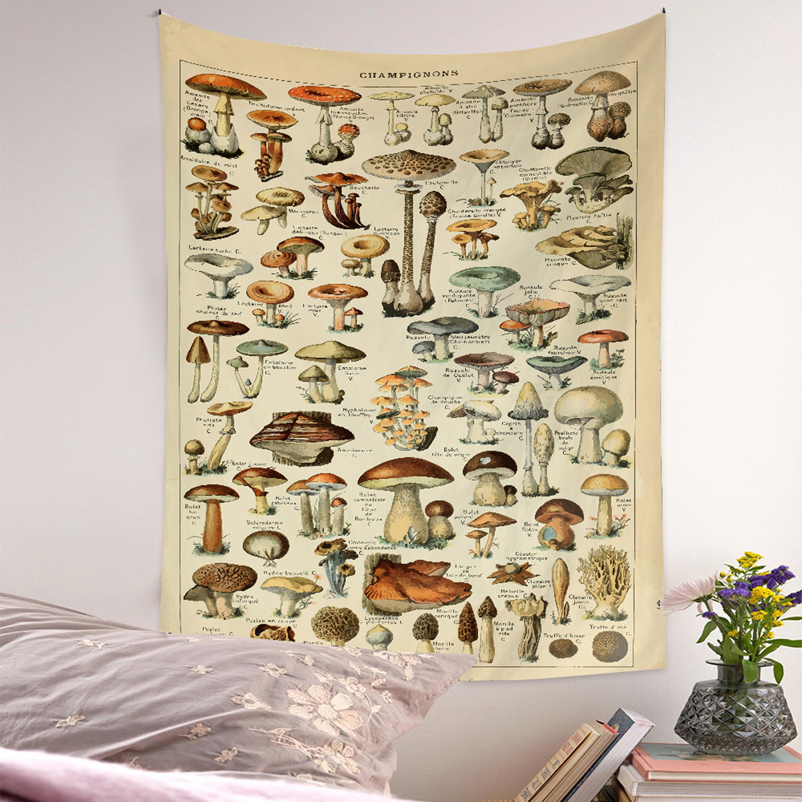 Mushroom Wall Hanging Impresión botánica Ilustración floral Identificación Gráfico Diagrama Tapiz