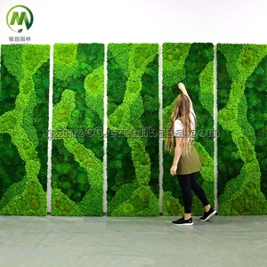 Su misura pareti di muschio artificiale pannello naturale <span class=keywords><strong>verde</strong></span> parete artificiale preservata sfondo decorazione per la vera parete di muschio arte fatta a mano - Product Image 2