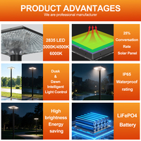 Lampadaire de jardin solaire LED haute luminosité 60W IP65 3000K 6000K ABS 60W 160lm/w