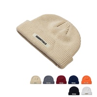 Logo personnalisé 100% Acrylique Bonnet En Tricot De Bonnet D'hiver
