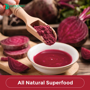 ผงบีทรูทแดงออร์แกนิก ผงบีทรูทแดงอบแห้งแบบสเปรย์ออร์แกนิก ผงน้ำบีทรูทแดง มีสินค้าในคลังสินค้าสหรัฐอเมริกา - Product Image 4