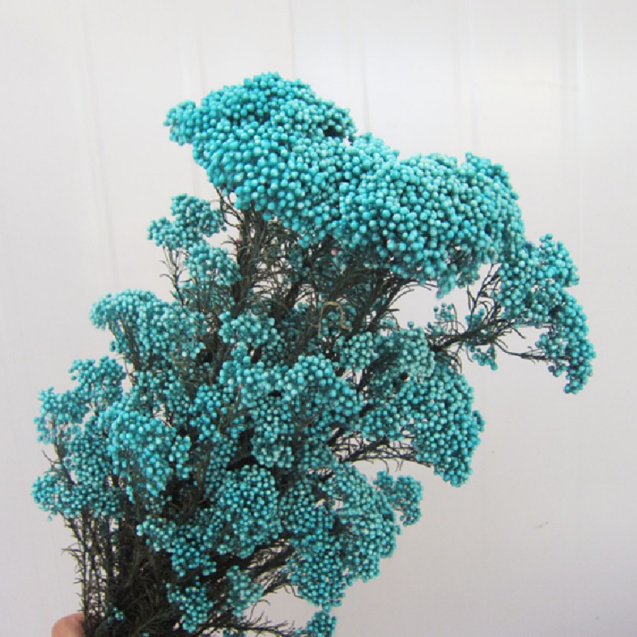 Bleu clair