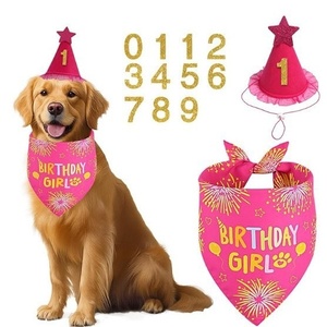 Ensemble d'accessoires de fête d'anniversaire pour animaux de compagnie : Foulard triangulaire et chapeau en tissu non tissé de luxe, personnalisables pour chien, pour une célébration festive. - Product Image 5
