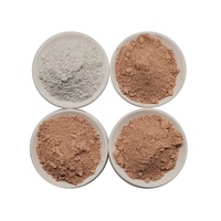 Métakaolin pour des expériences d'activation alcaline dans le béton de ciment à haute performance