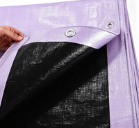 Bâche en plastique enduite de LDPE résistante, imperméable, couleur violet clair