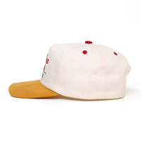 Alta calidad, venta al por mayor, logotipo bordado 3D personalizado, 5 paneles, sombrero Sin estructura, gorra de béisbol vintage con ala curvada