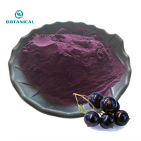 B.c.i Supply Instant Zwarte Bessen Sap Concentraat Poeder Zwarte Bessen Drank Poeder Extract