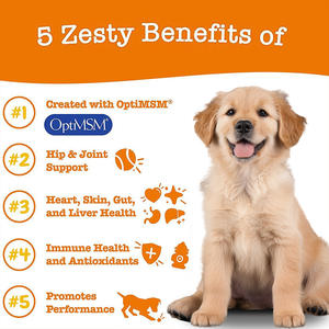 Tabletas masticables para mascotas Multivitaminas Multifuncional Bite Dog Nutrition Skin Health Antioxidante - Product Image 2