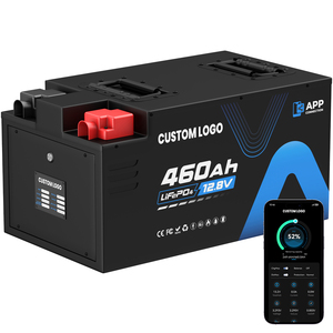 Baterai Lifepo4 12V 460ah untuk Camper Van, Baterai Lithium Ion 24V 100ah 200ah 300ah dengan Smart BMS untuk RV Motorhome (Stok EU) - Product Image 1