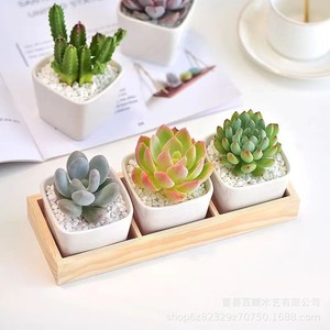 Wooden Three Compartment <b>Succulent</b> Planter Box Desktop Storage For Small Plants Balcony Flower <b>Pot</b> With Lid And Compartments - Product Image 3