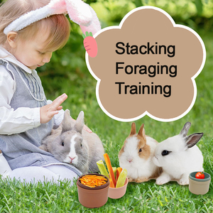 Conejito reutilizable para esconder comida, tazas apilables anidadas, juguetes de conejo para mascotas para Conejo, conejillo de indias - Product Image 6