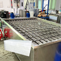 Machine Commerciale à Glaçons Cristallins 200 kg, Machine Industrielle Automatique de Fabrication de Blocs de Glace 3t 5t pour le Nigeria
