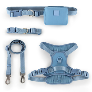 ODM Customizable LOGO Adjustable Breathable Fashion Simple Neoprene Dog <b>Harness</b> with Ease Hands Free Leash <b>Pet</b> leash collar - Product Image 1
