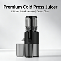 5,1 inch grote invoeropening sapcentrifuge 250W koudpers sapcentrifuge voor groenten en fruit slow juicer