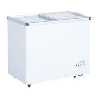 258L Taşınabilir Güneş Enerjili Buzdolabı 12/24V AC DC Güneş Enerjili Dondurucu Kalınlaştırılmış Köpük Sıcak İklimlere Dayanıklı Soğutma