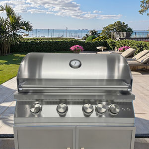 Carrinho de Ilha de Cozinha Externa Luxuoso e Profissional com Churrasqueiras a Gás GLP Estilo Embutido de Metal Durável para Uso Doméstico - Product Image 1