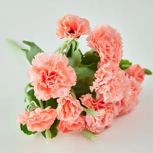 Hot sale 10 spring white carnations simulation home silk flowers Mother's Day artificial multicolor flower decoration