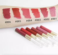 Ensemble de rouges à lèvres non collants, masque pour les lèvres, imperméable, minéral, nude, mat, gloss liquide, anti-transfert, fournisseur, étiquette privée, boîte personnalisée