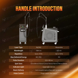 Máquina de Depilación Láser de Pulso Largo con Tecnología Q-Switched de Alta Calidad Seaheart Alexand 755nm/1064nm Vertical Indolora para Spa y Salón - Product Image 5