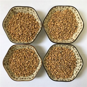 Suelo hortícola de <span class=keywords><strong>Akadama</strong></span> para suculentas, cactus y orquídeas, promueve un fuerte desarrollo de raíces y aireación - Product Image 1