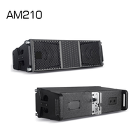 AM210 Enceinte Line Array Professionnelle Double 10 Pouces 800W à Haute Puissance pour Spectacles en Direct et Tournées – Vente en Gros Usine