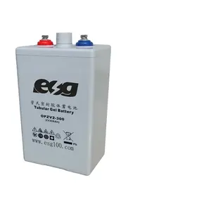 ESG Plaque tubulaire inondée à cycle profond longue durée rechargeable 2v 100Ah 150Ah 200Ah 250Ah 300Ah 350Ah 420Ah OPzS batterie