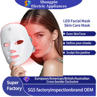 Masque facial LED, thérapie par lumière rouge, soin de la peau, masseur facial, appareil de beauté rechargeable, logo personnalisé, utilisation à domicile