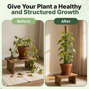 Poste <span class=keywords><strong>de</strong></span> musgo apilable <span class=keywords><strong>de</strong></span> PVC y madera, ecológico, soporte para plantas Monstera, trellis para plantas <span class=keywords><strong>de</strong></span> interior, estacas <span class=keywords><strong>de</strong></span> jardinería extensibles, etiquetas para plantas - Product Image 2
