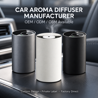 Diffuseur d'arômes automatique sans eau avec logo personnalisé pour voitures, hôtels, diffuseur de parfum d'ambiance aux huiles essentielles, vaporisateur, fonctionnalités personnalisées