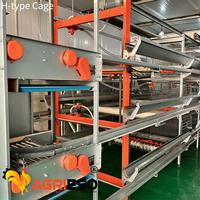 Agrieso Z275 Acier inoxydable galvanisé à chaud pour cage clé en main pour poulets de chair et poules pondeuses