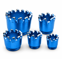 Forets de forage PDC 93mm 112mm 132mm 171mm utilisés pour le forage minier et l'exploration géologique