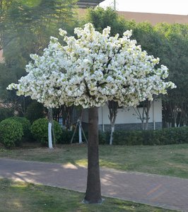 Arbres à <span class=keywords><strong>chat</strong></span> en fleurs de cerisier, <span class=keywords><strong>arbre</strong></span> de table en cerisier LED, <span class=keywords><strong>arbre</strong></span> géant en fleurs, <span class=keywords><strong>arbre</strong></span> géant - Product Image 1