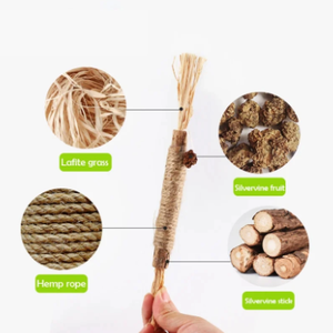 Bastoncino di noci Gall naturale Polygonum Multiflorum resistente giocattolo da masticare per la dentizione dei denti per la pulizia del tartaro rimozione alito fresco - Product Image 3