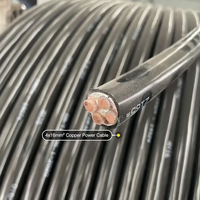 Câble blindé XLPE PVC/SWA/STA de tailles courantes 2/3/4C 35mm² pour installations souterraines ou extérieures