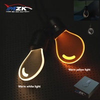 Nouvelle ampoule LED miniature MUZHIKAI 6V, lampe d'ambiance intérieure, accessoires de décoration lumineuse pour voiture