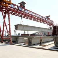 Portique de levage professionnel pour poutres en caoutchouc, pneus et poutres préfabriquées, capacité 50T, pour entrepôt ferroviaire et poutres en T préfabriquées