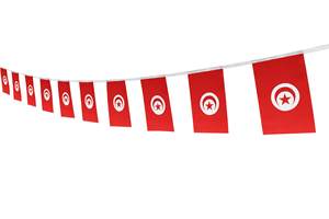 Guirnalda de Banderines con la Bandera de Túnez, Decoración para Fiestas, Bares, Clubes Deportivos, Impresión en Serigrafía de Poliéster, 2026 - Product Image 6