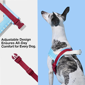 Arnés <span class=keywords><strong>para</strong></span> Perro de Alta Calidad, Sin Estrangulamiento, con Correa, Ajustable, Acolchado y Suave, <span class=keywords><strong>para</strong></span> Whippet, Galgo, Dachshund - Product Image 3