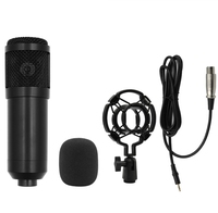Juego de micrófono de condensador BM800, soporte voladizo, grabación de teléfono móvil, tarjeta de sonido K Song V8, micrófono de plástico con cable en vivo