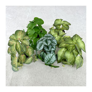 QYY, nuevo producto, planta Artificial de rábano verde con maceta de plástico, decoraciones de escritorio para el hogar para Navidad, graduación, adornos de Año Nuevo - Product Image 3