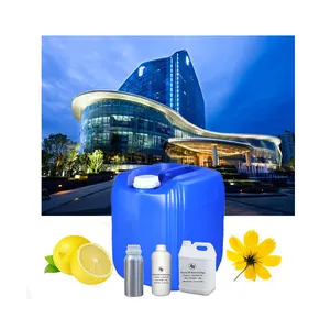 Macau Galaxy Aromatische Rietverspreider Aroma Luchtverfrisser Geurolie Hotel Geurolie Diffuser Olie Geurstof