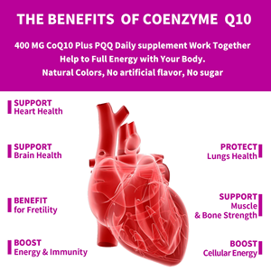 Capsules de CoQ10 à absorption élevée pour maintenir la santé antioxydante, 120 gélules, quantité pour 120 jours, gélules d'Oméga-3 - Product Image 5