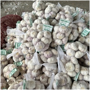 Tỏi <span class=keywords><strong>2025</strong></span> Crop 3-4cm 4.5-6.0cm trắng đỏ tỏi 10kg Carton Đóng Gói Bóc Vỏ Tỏi xuất khẩu giá - Product Image 5