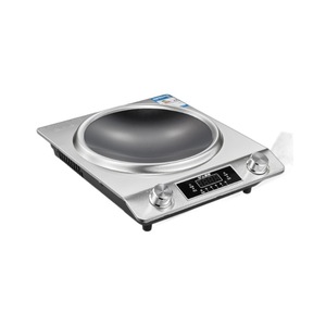 Placa de Inducción Eléctrica Cóncava de 500W, Acero Inoxidable, Control Táctil, Uso en Hoteles, Fuente de Calor Potente, Superficie de Hierro Fundido, 2 Quemadores, Portátil - Product Image 1