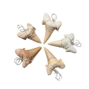 Dents fossilisées fil d'argent enveloppé fossiles dents collier pendentifs vrais fossiles préhistoriques accessoires de bijoux aléatoires - Product Image 5