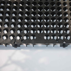 Cellule de drainage de 30 mm pour <span class=keywords><strong>jardin</strong></span> sur toit en Indonésie - Product Image 5