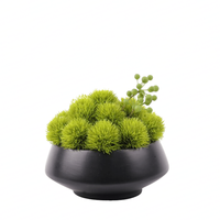 Tablescape Moderen Lumut Modern, Pot Bunga Bulat Pot Semen Beton Penanam Mangkuk Lumut