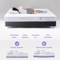 Matelas en Soie Glacée Doux, Régulateur de Température, Silicone Écologique, Respirant, Hypoallergénique, Anti-Moisissure/Anti-Acariens pour Chambre à Coucher
