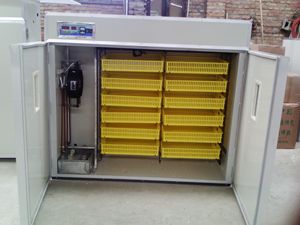 Entièrement automatique incubateur d'oeufs ZH-880 pour couver sur 900 oeufs <span class=keywords><strong>de</strong></span> poule/meilleure vente d'incubateur <span class=keywords><strong>de</strong></span> <span class=keywords><strong>volaille</strong></span> - Product Image 3