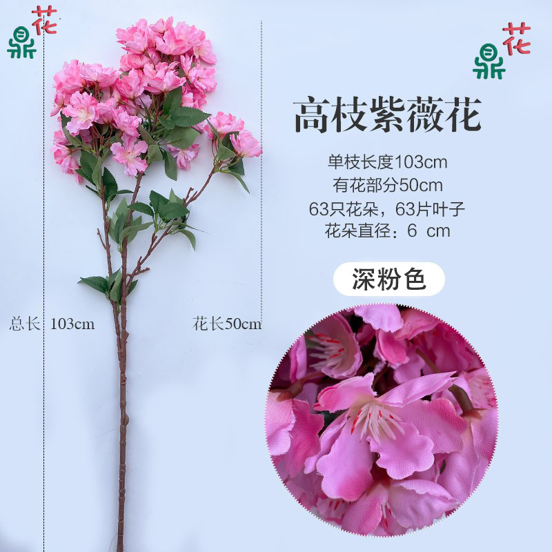 ดอกสีม่วงขนาดใหญ่ก้านสูง สีชมพูเข้ม